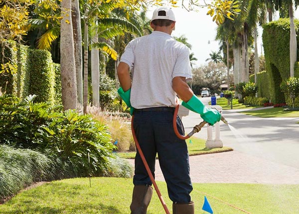 About Ewan NJ Pest Control Pros
